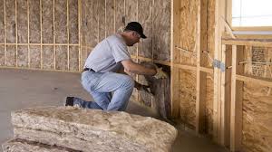 Best Wall Insulation Installation in Snyder, OK